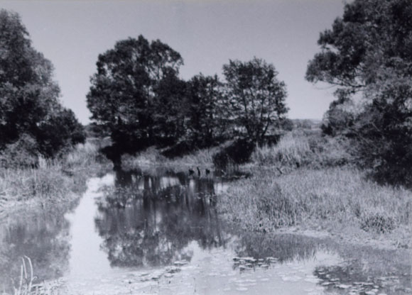 Konrad Sommer: An der Amper, Schwarzweißfoto, Mai 1981  